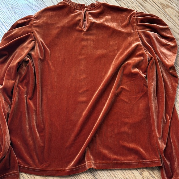 Velvet Rust Top - Picture 2 of 3